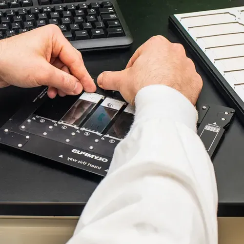 A close-up of hands preparing a row of slides