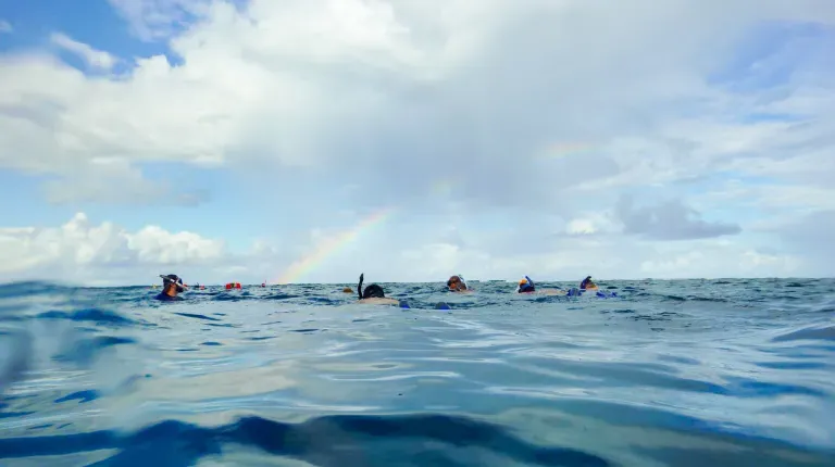 Snorkeling in Belize on the Surface Under a Rainbow