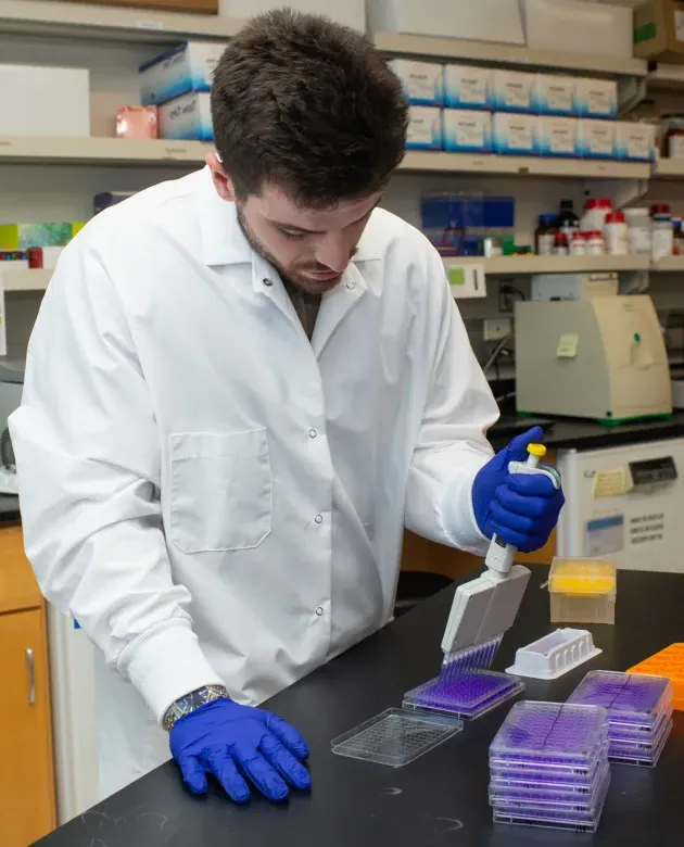 A student in a white coat adds liquid samples to dishes in a lab